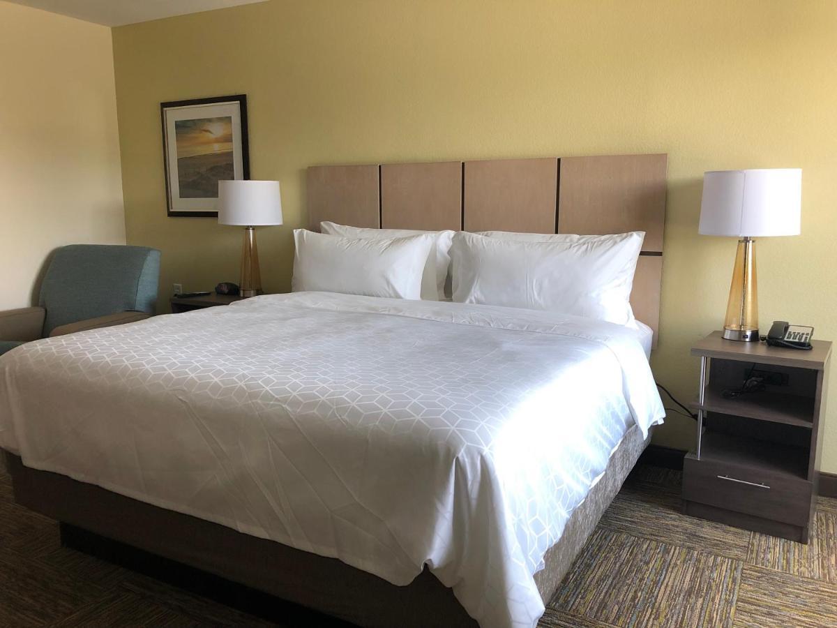 King Studio Suite,1284412978:JPEG