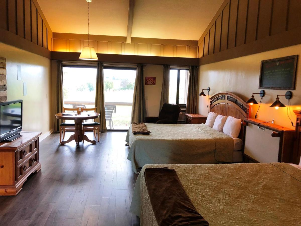 Large Double Room - Pet Friendly