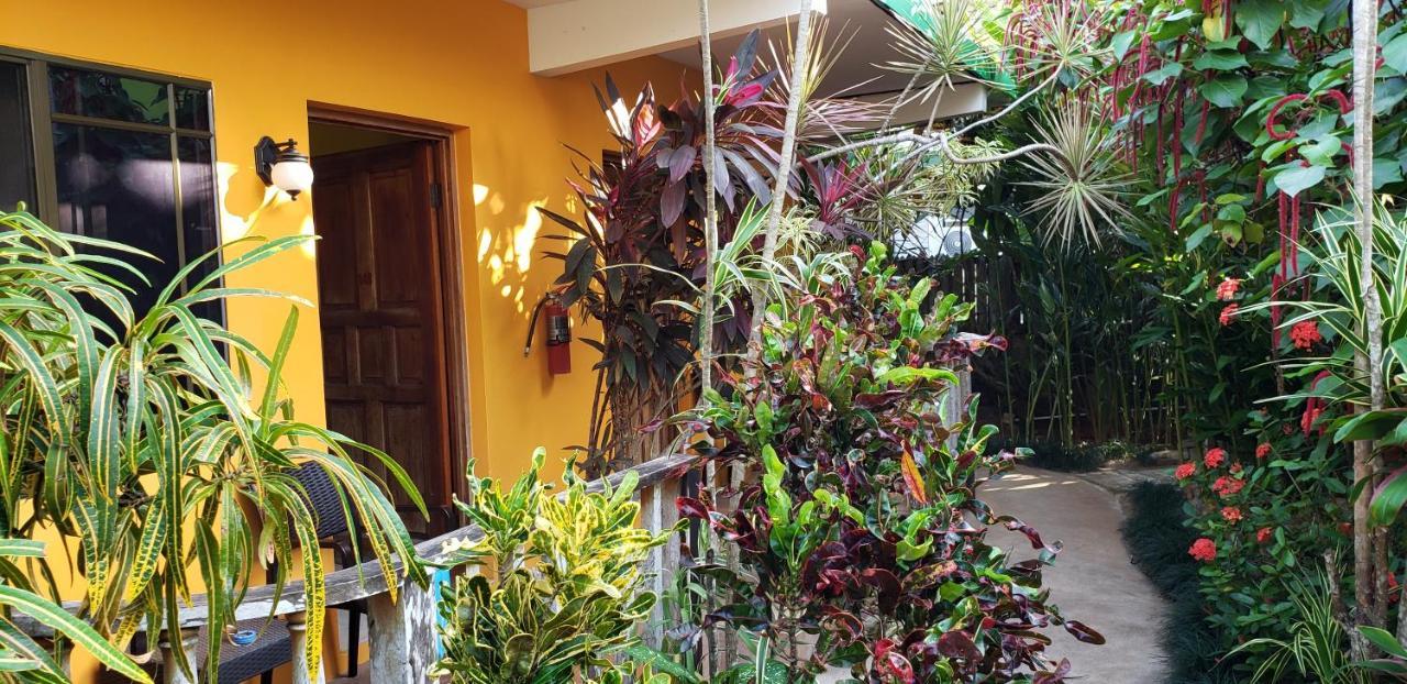 Deluxe Double Room,1005783874:JPEG