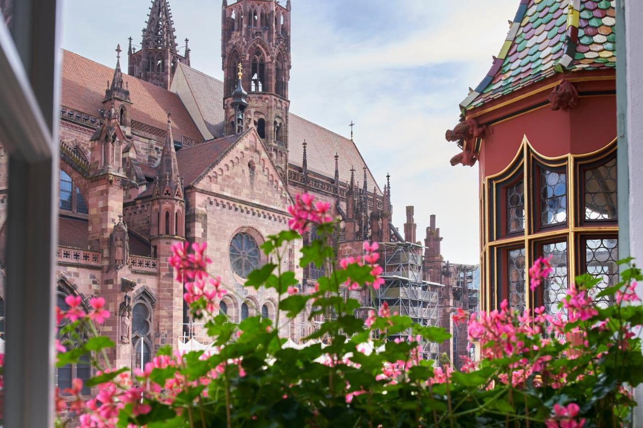 Exclusive Single Room House Münsterplatz