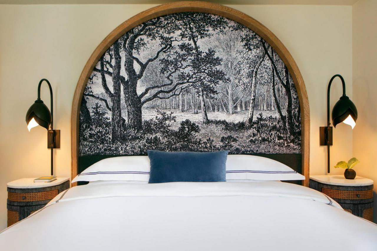 King Room with View and Communications Mobility Accessible Roll-In Shower