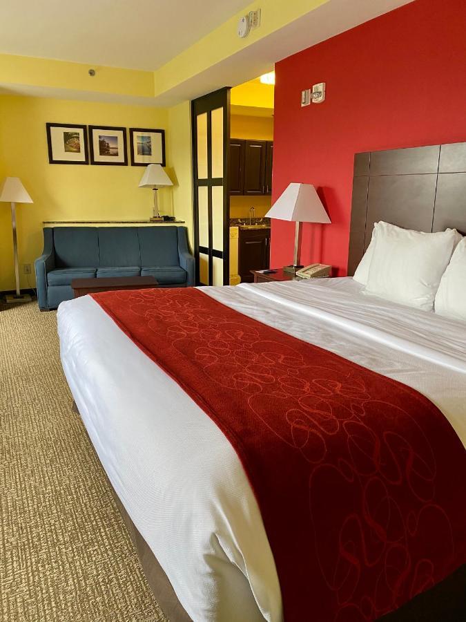 Efficiency King Suite - Accessible/Non-Smoking
