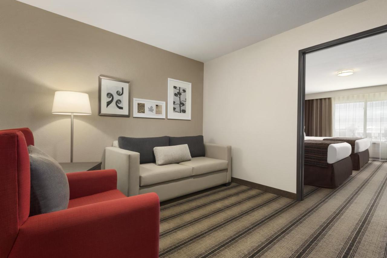 One-Bedroom King Suite with Sofa Bed,1731406097:JPEG