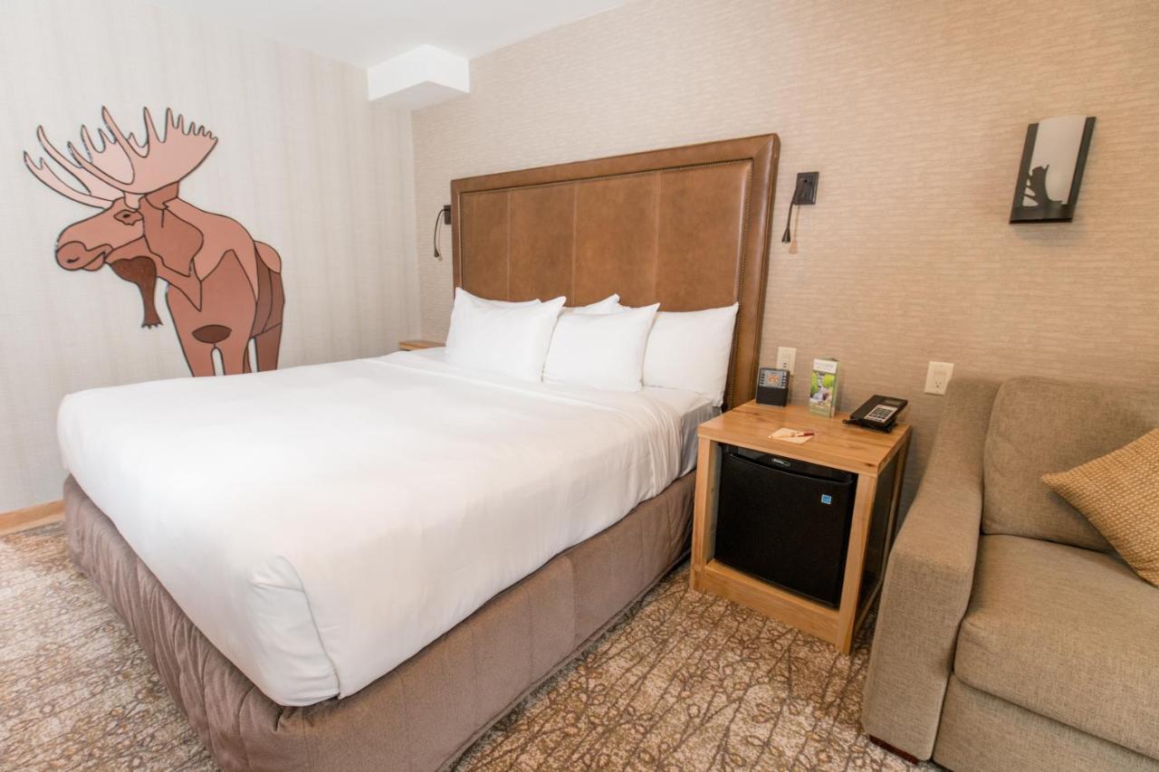 Superior King Room,1089778268:JPEG