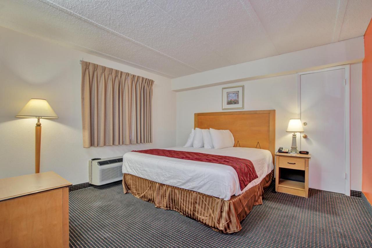 King Room - Non-Smoking