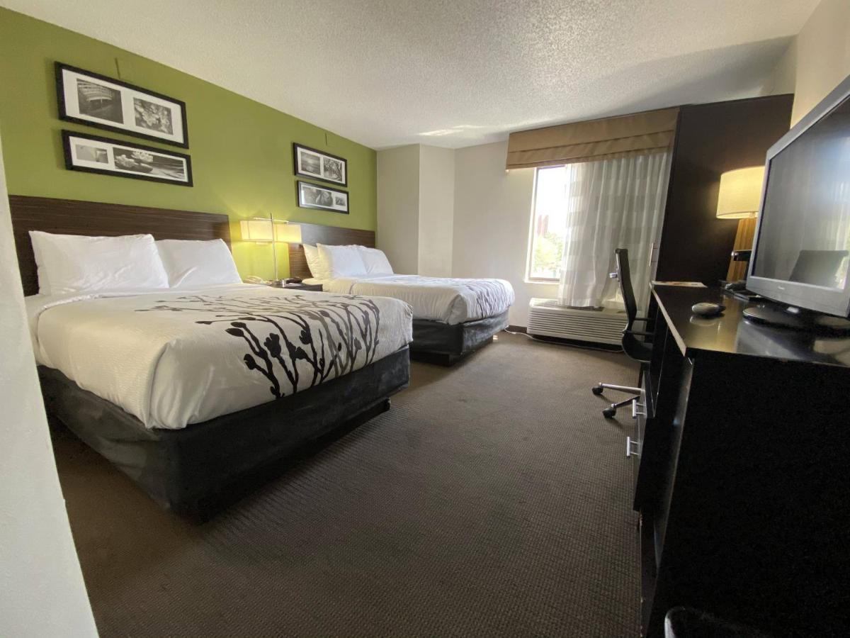 Standard Double Room with Two Double Beds - Non-Smoking