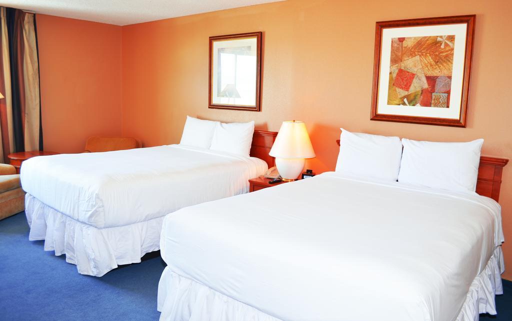 Standard Double Room,113663105:JPEG