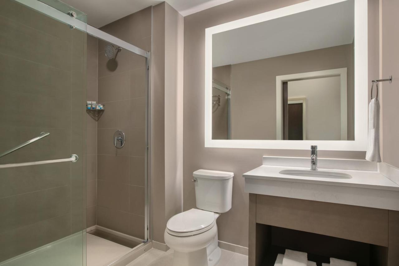 King Studio Suite with Kitchen and Sofa Bed
