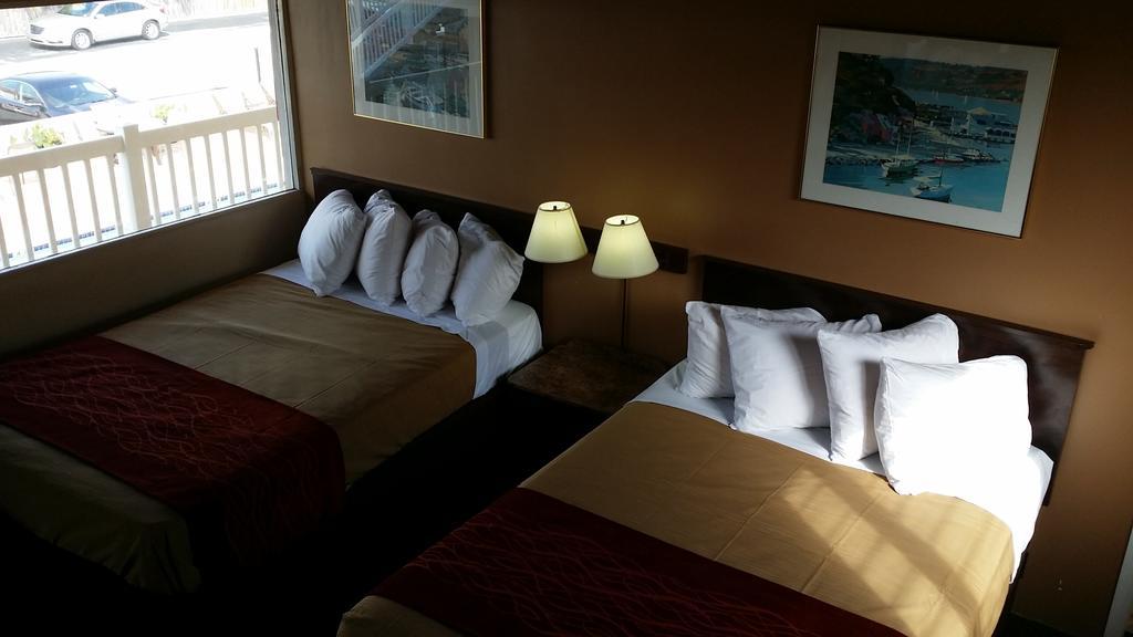 Standard Double Room with Two Double Beds