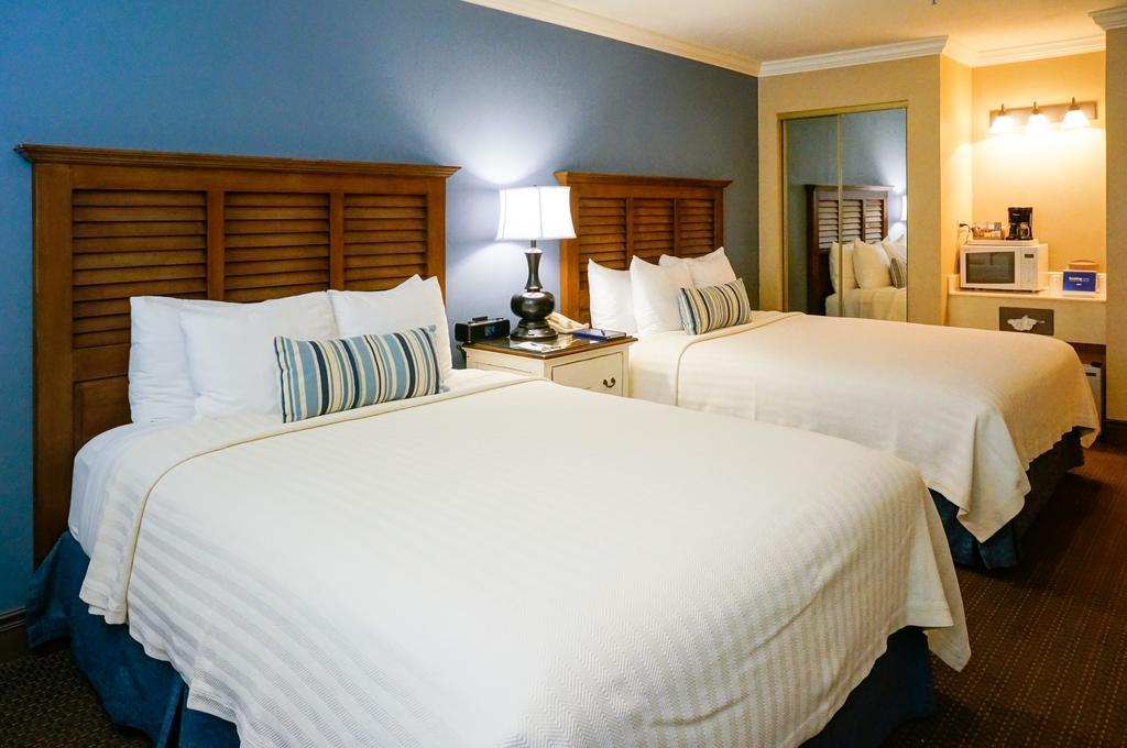 Standard Queen Room with Two Queen Beds,1558037773:JPEG