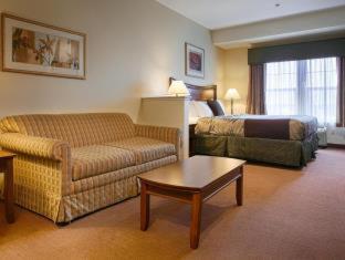 King Suite - Mobility Accessible with Bathtub and Sofa Bed