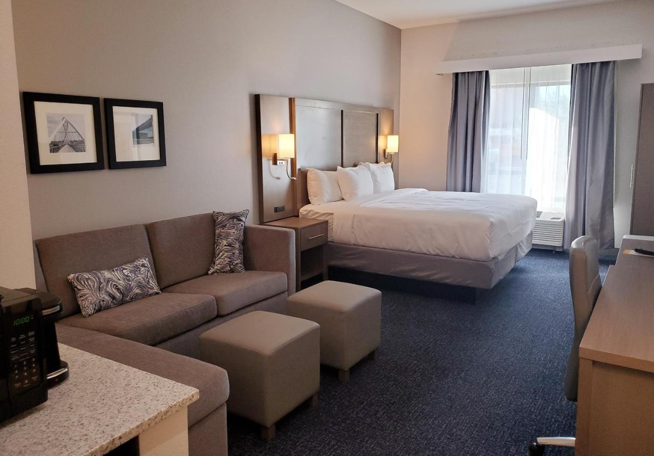 1 King Bed, 1 Room Suite, Sofabed,1170874875:JPEG