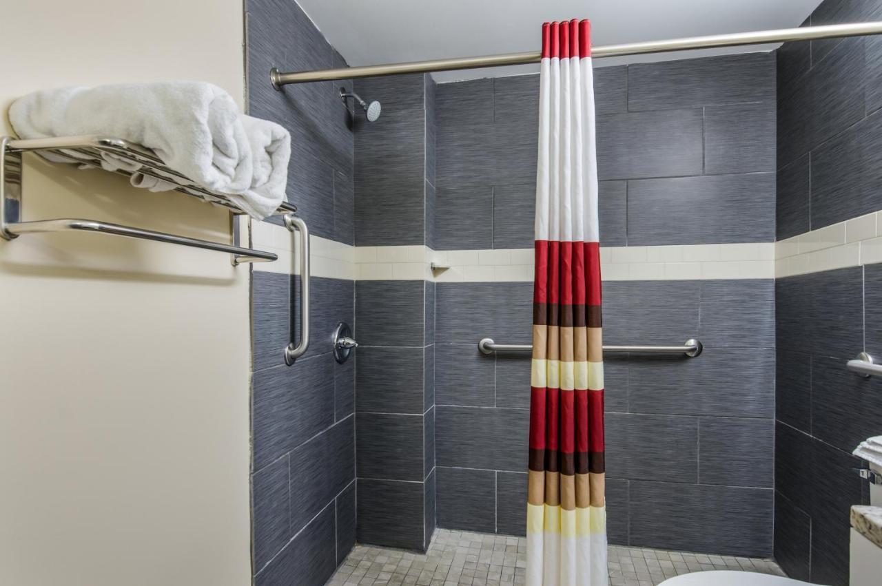 Superior King Room Disability Access Roll-In Shower Non-Smoking