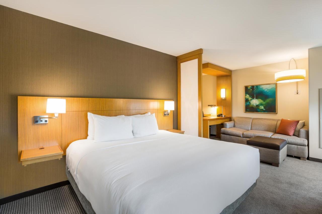 Specialty King Room with Sofa Bed,1187668822:JPEG