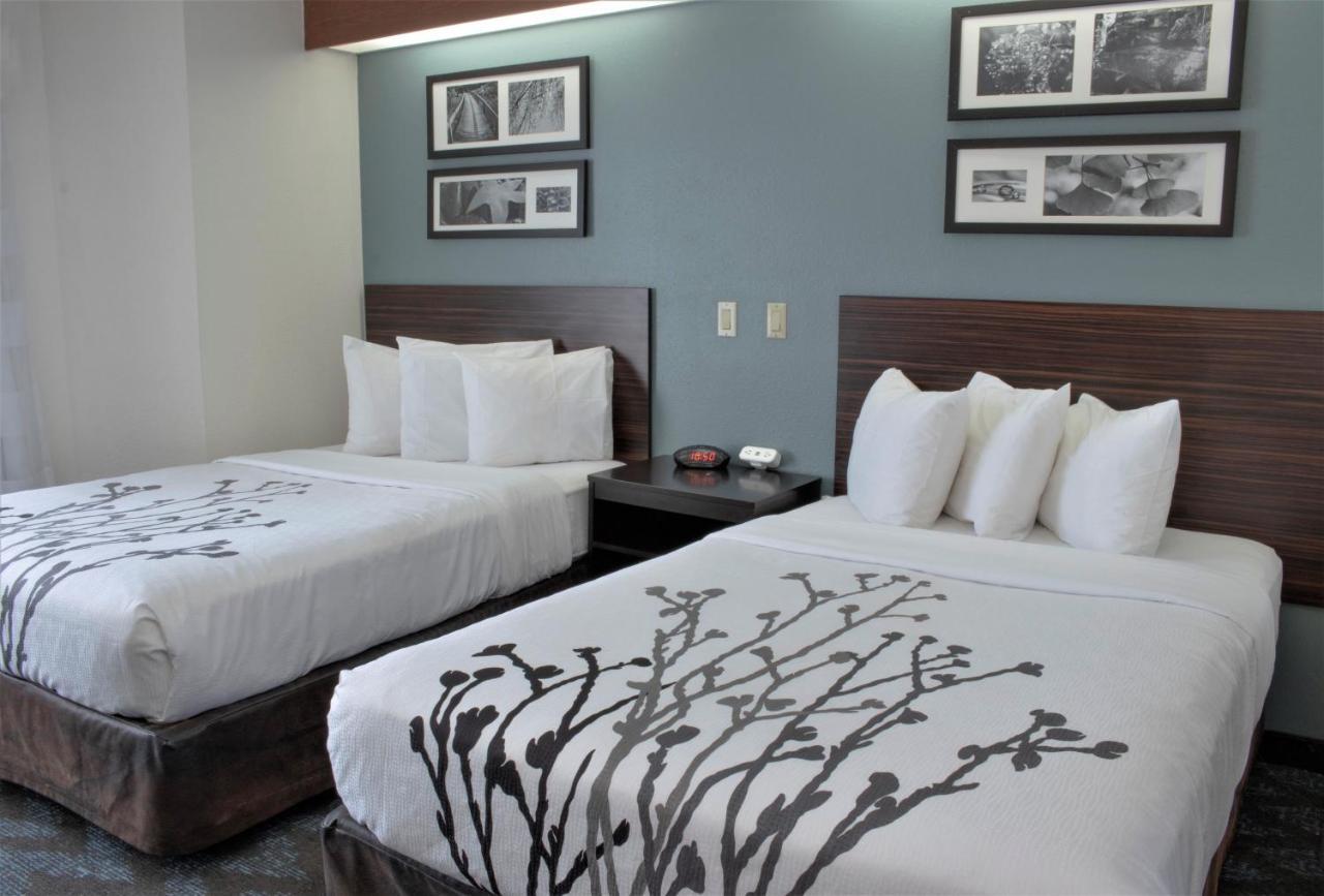 Double Room with Two Double Beds - Non-Smoking,1205822338:JPEG