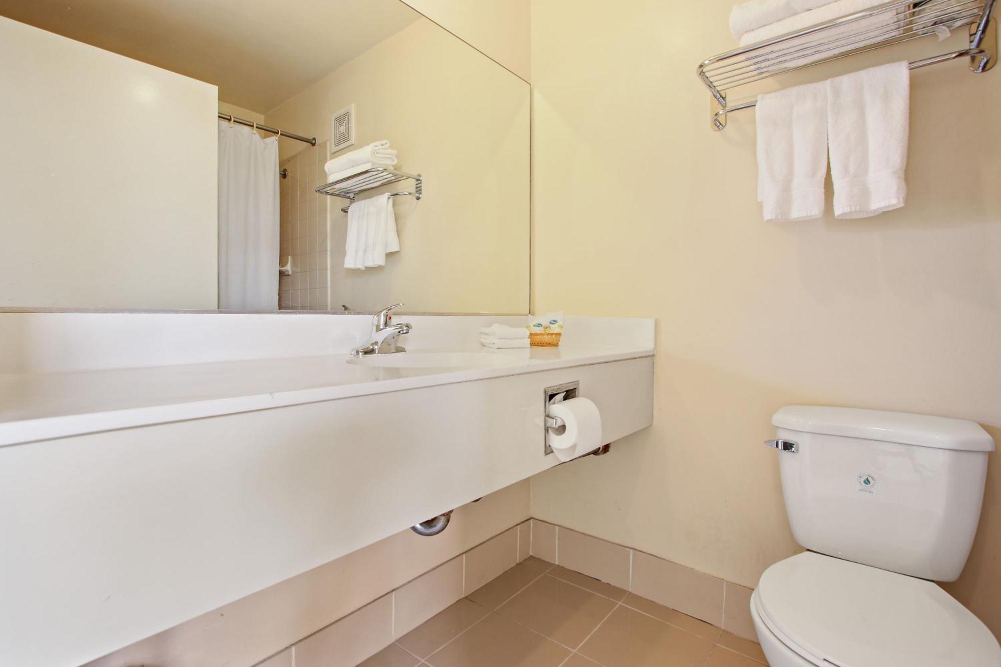 Economy Single Room