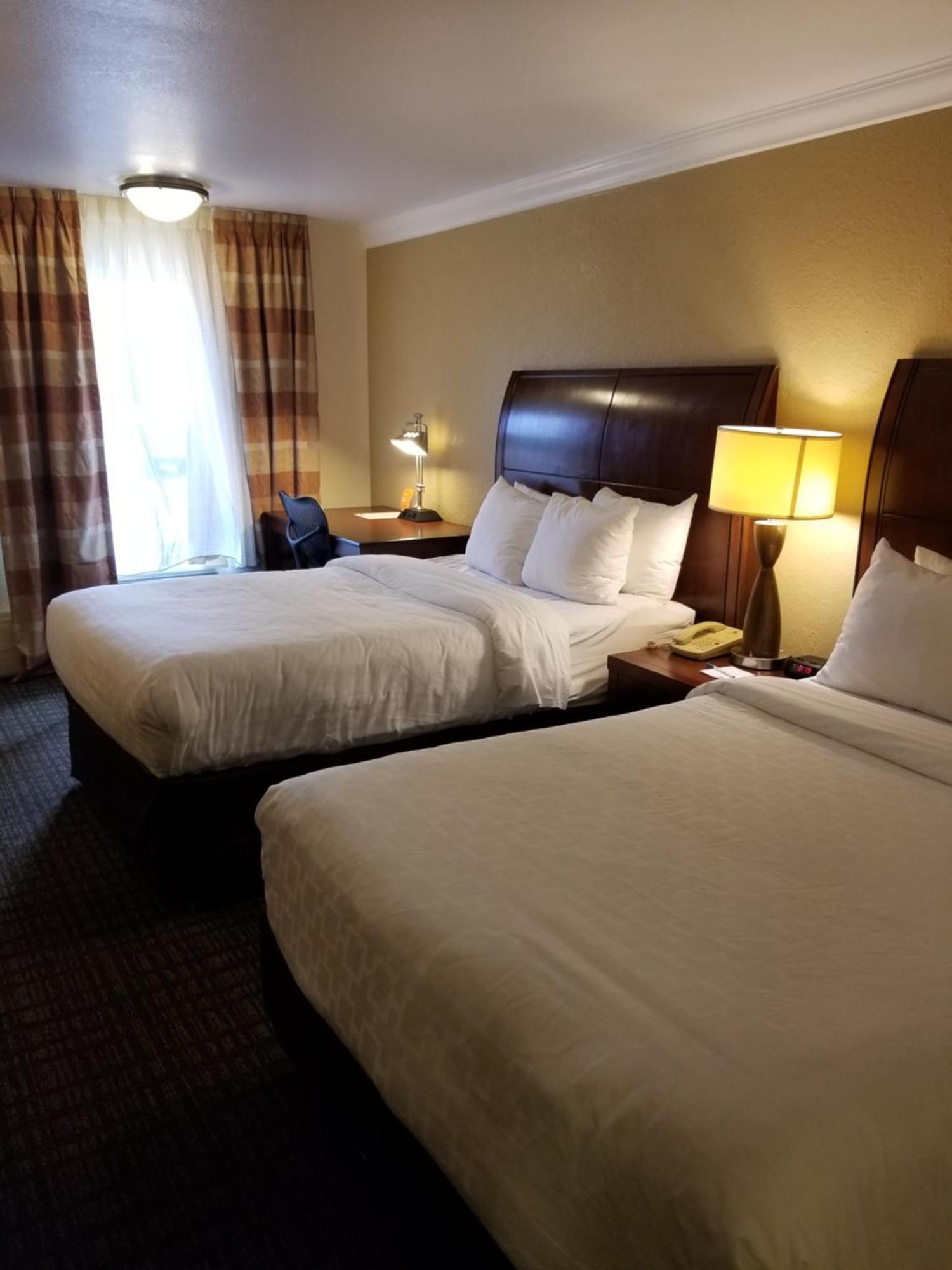 Double Room with Two Double Beds - Accessible/Non-Smoking,1276574485:JPEG