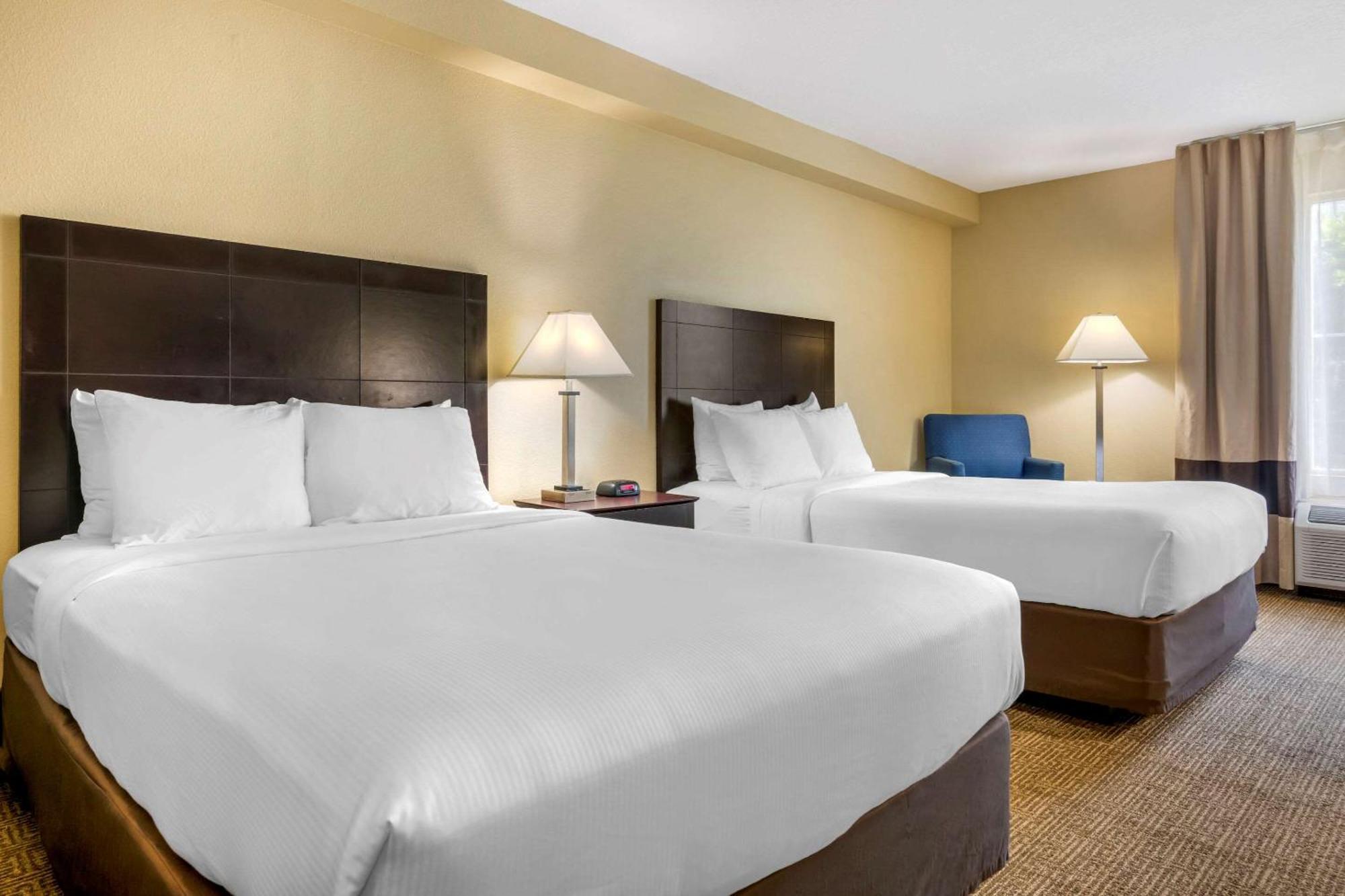 Standard Room with Two Double Beds - Disability Access