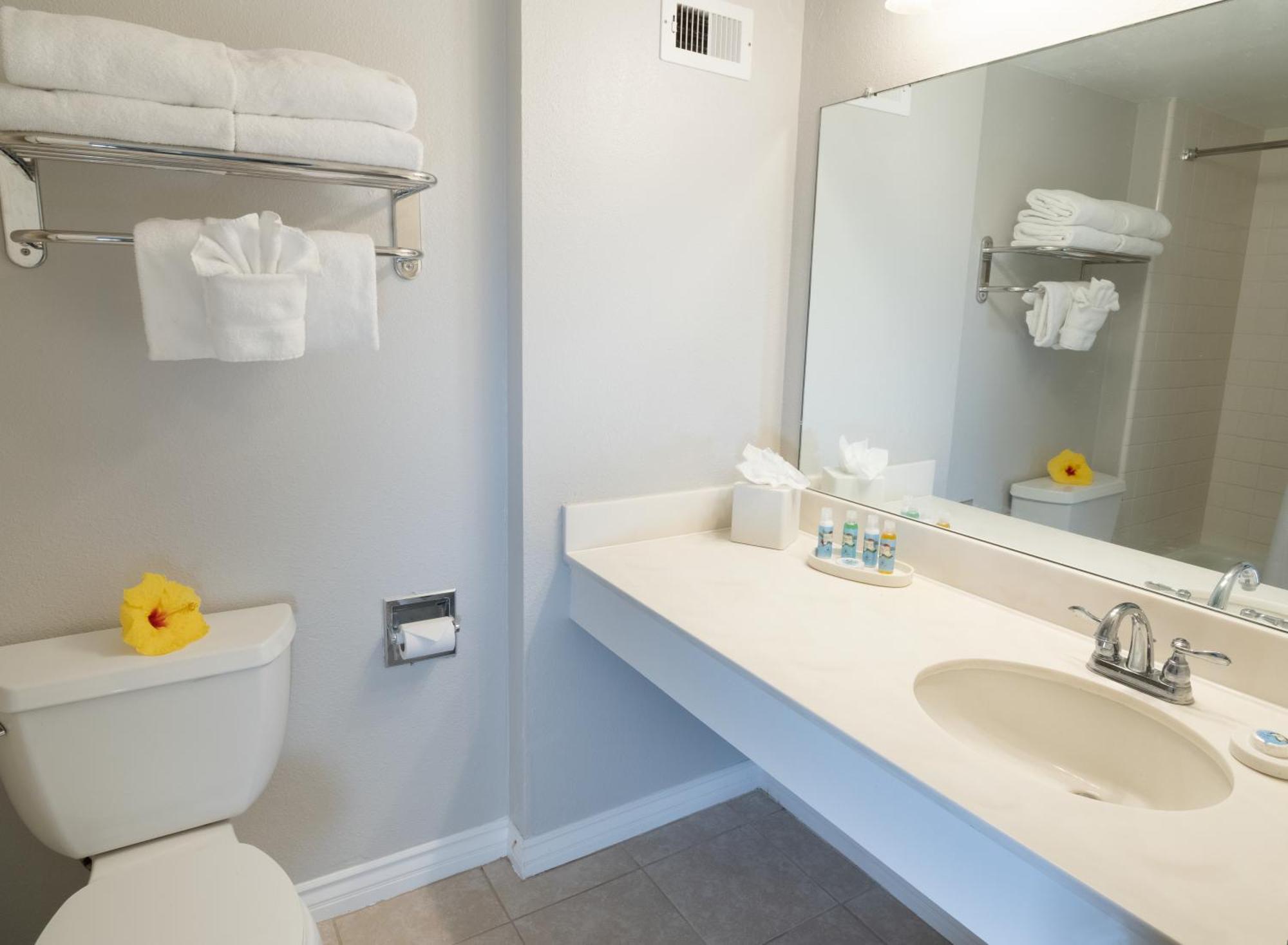 Lagoon Tower Renovation Rate Ocean View Room