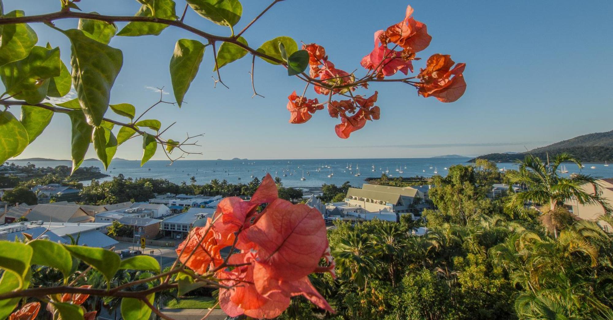 Two Bedroom Two Bathroom Apartment with Balcony Jacuzzi and Ocean View,1576705448:JPEG
