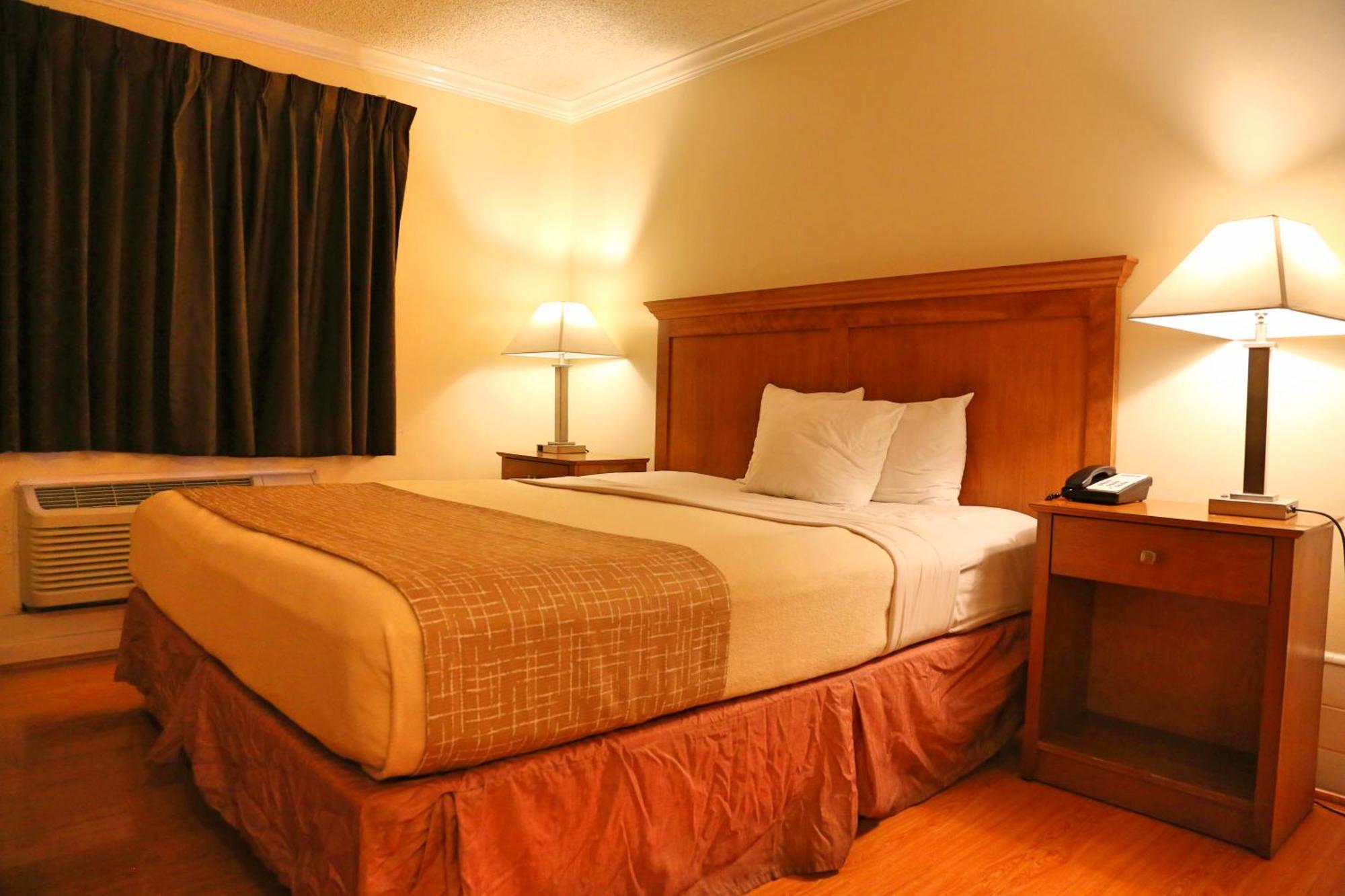Comfort Single Room
