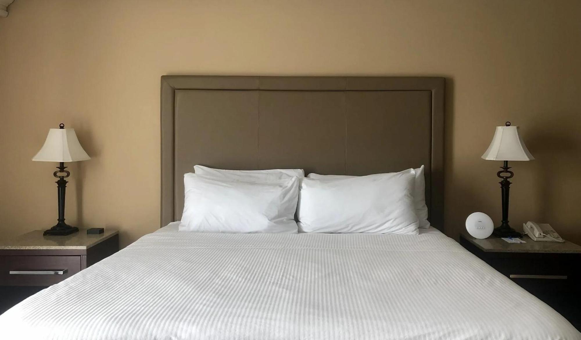 Wellness, 1 King Bed, Presidential Suite, Non-Smoking