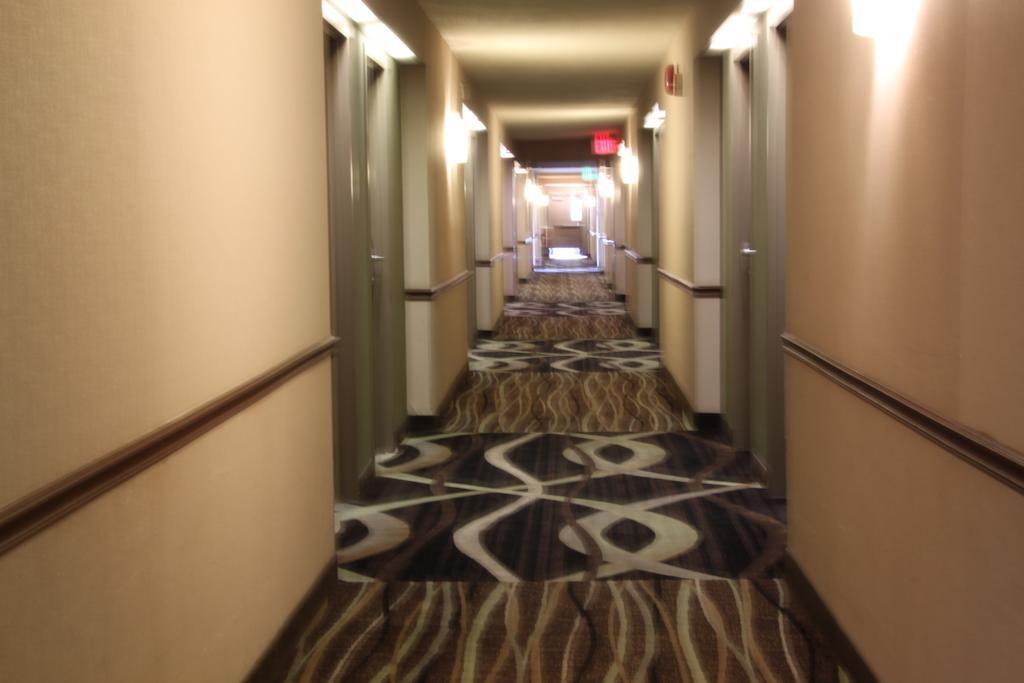 Double Room - Accessible/Non-Smoking