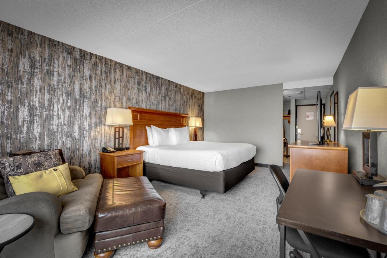 Deluxe King Room - No pets
