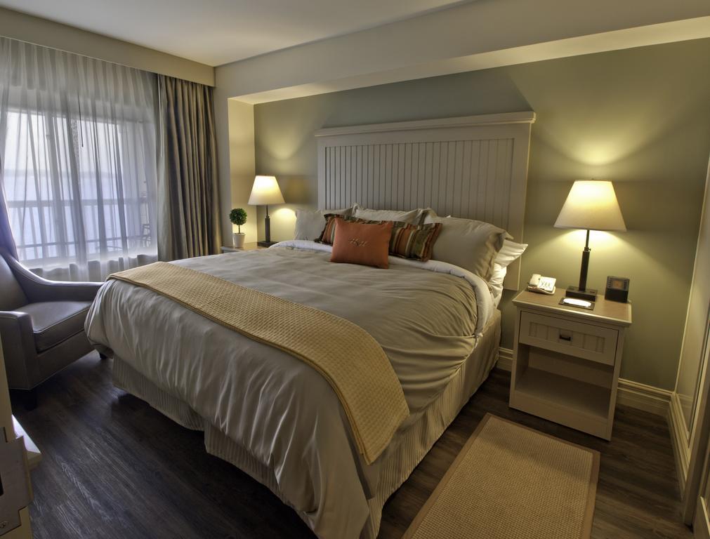 Commodore Suite,709867564:JPEG