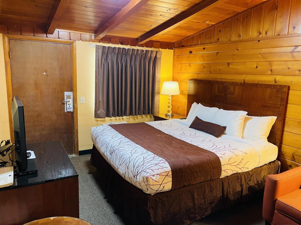 Small King Room,1247111383:JPEG