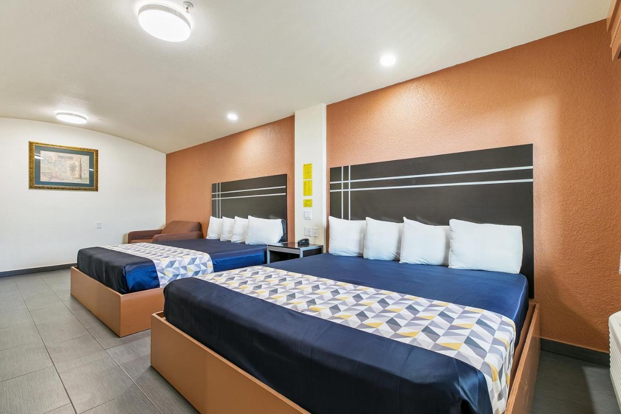 Double King Family Room,1247052220:JPEG