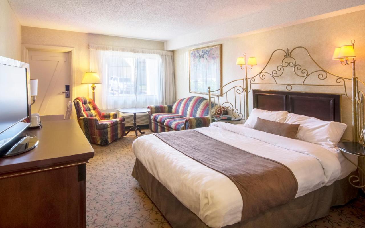 Queen Room with Sofa Bed
