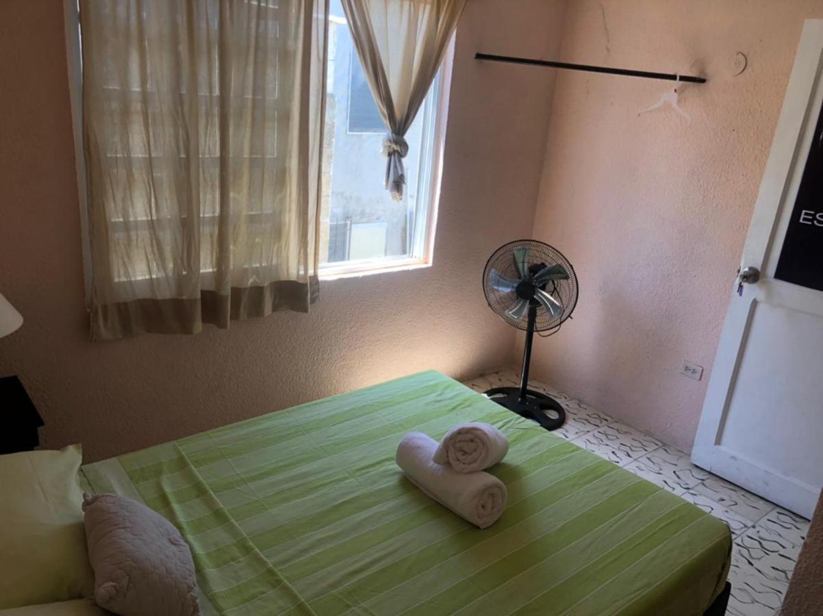 Double Room with Shared Bathroom