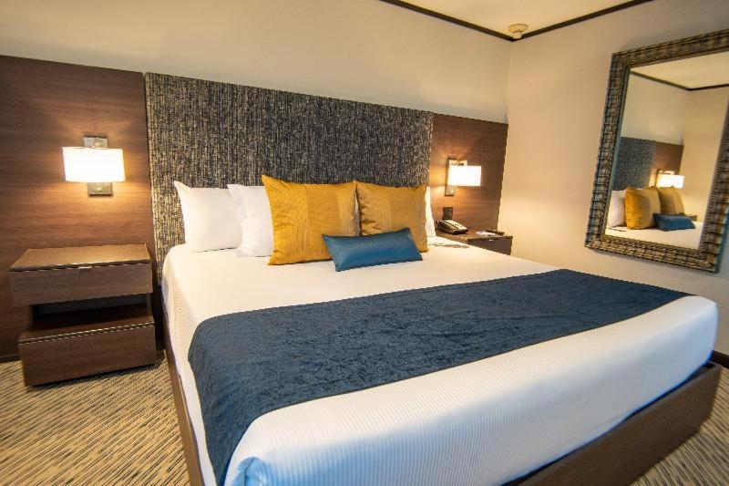 Deluxe King Room,1706059608:JPEG
