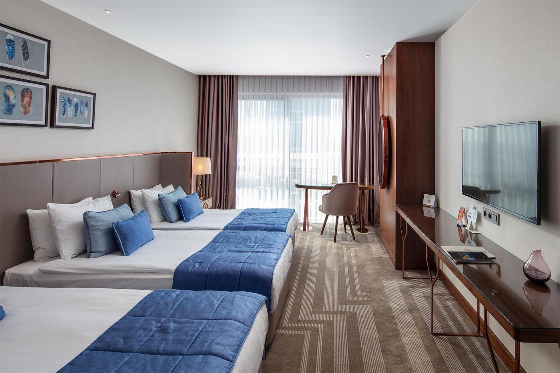 Deluxe Double or Twin Room