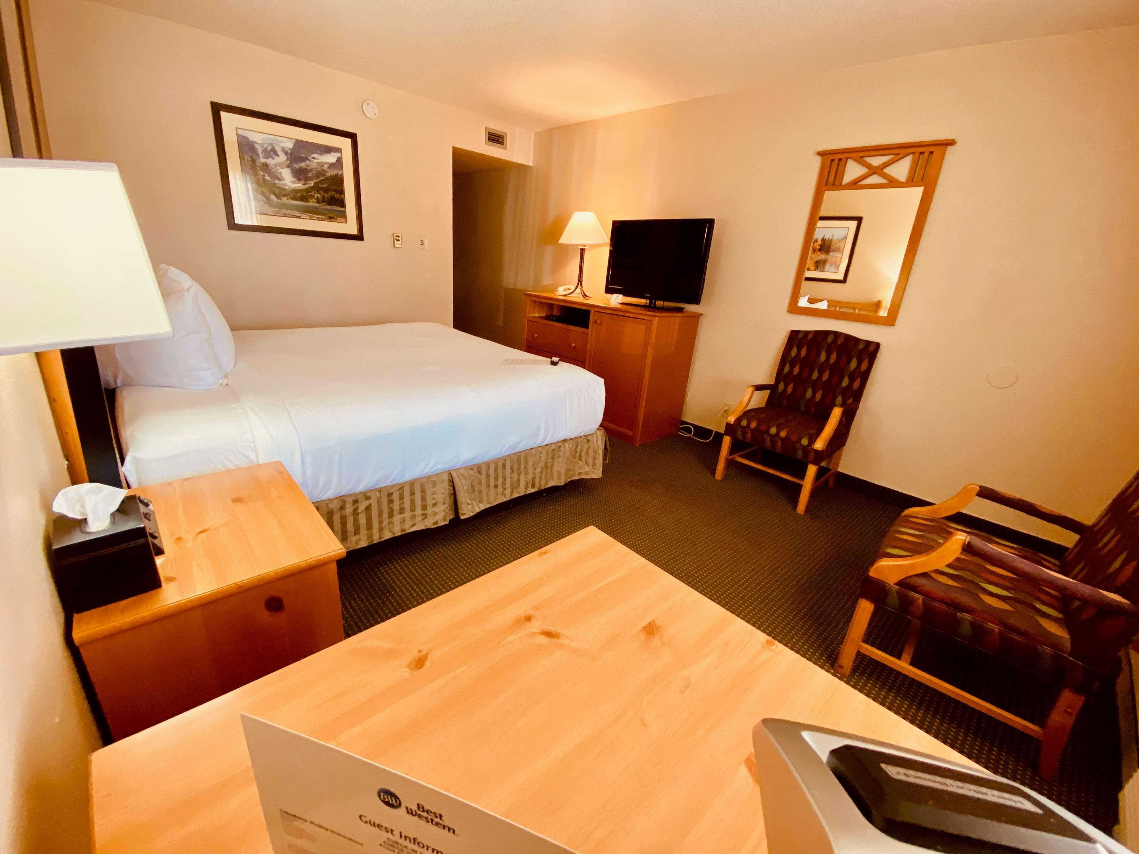 King Room - Pet Friendly