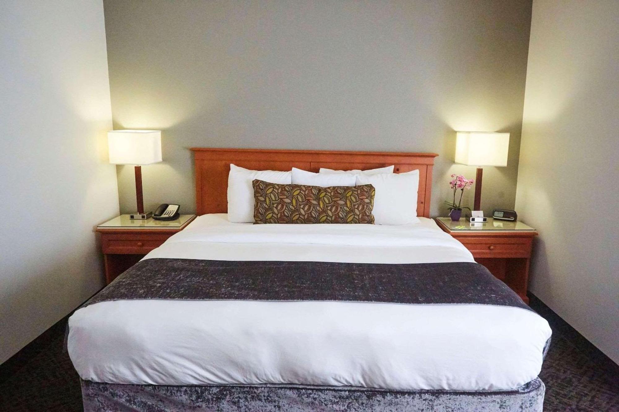 One-Bedroom King Suite - Non-Smoking