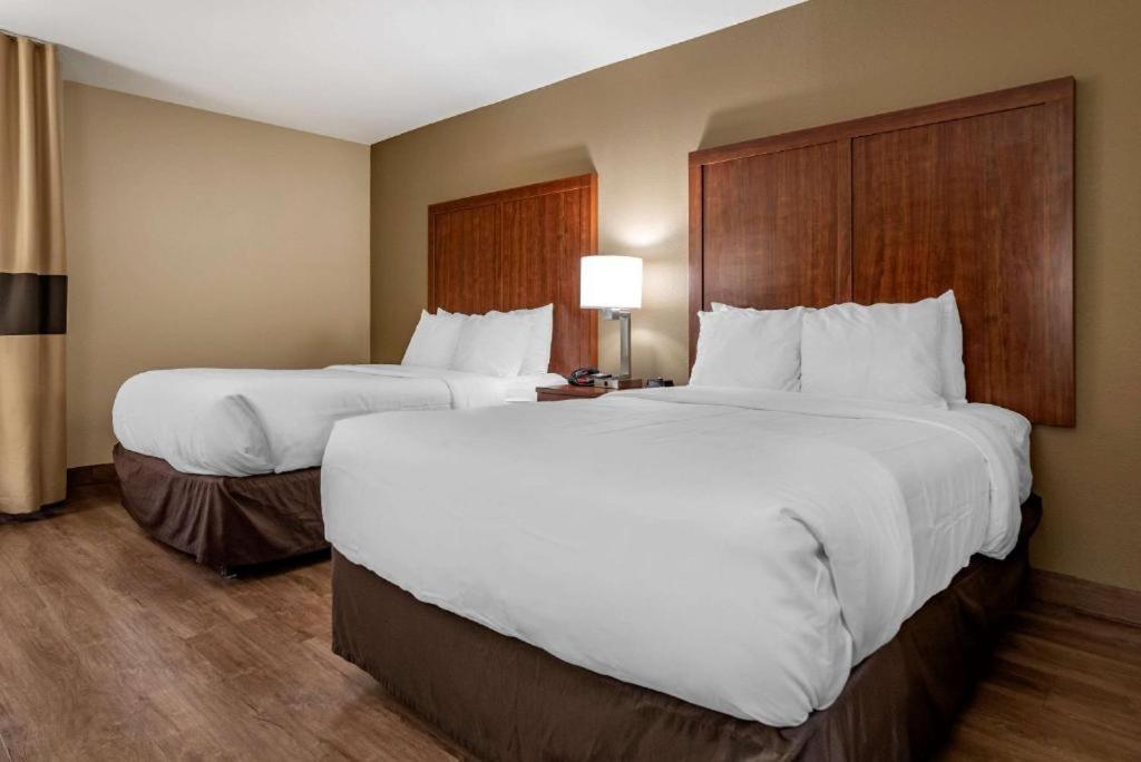 Double Room with Two Double Beds - Non-Smoking,1275784204:JPEG