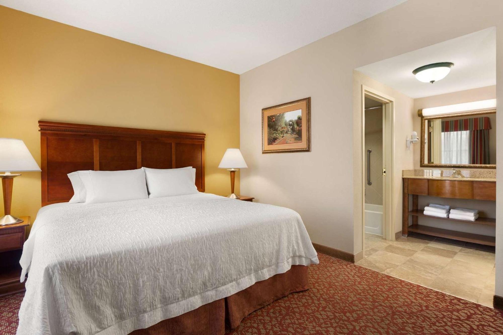 King Studio Suite with Sofa Bed - Non-Smoking,1275909271:JPEG