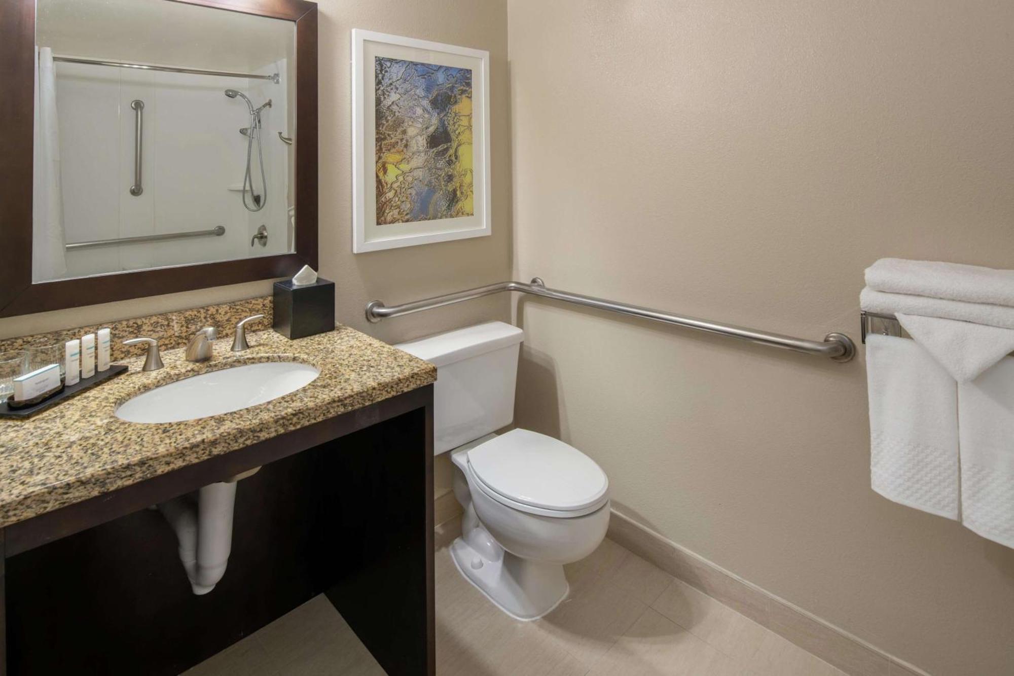 King Suite with Sofa Bed and Bath Tub - Mobility Accessible
