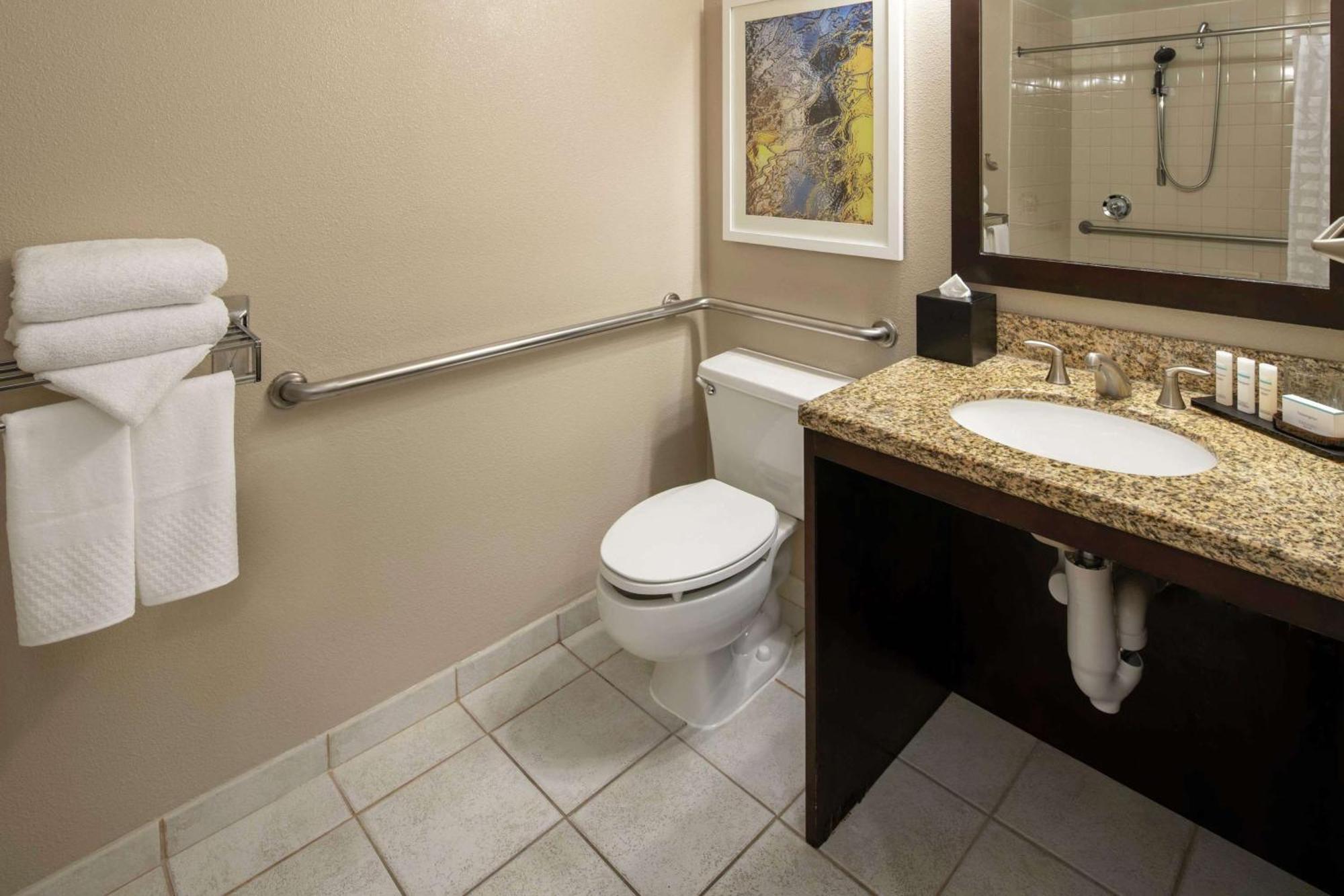 King Suite with Roll-In Shower and Sofa Bed - Mobility Accessible