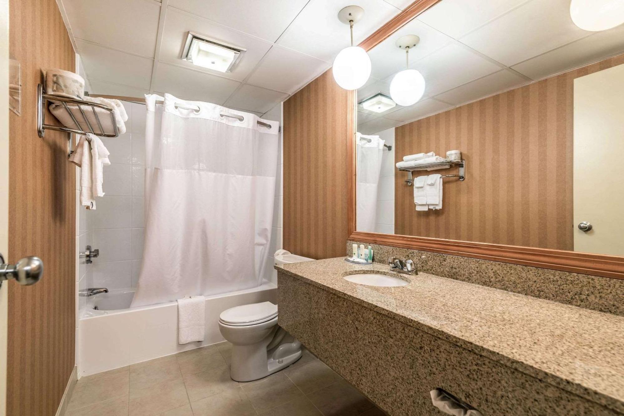 King Suite - Non Smoking/Pet Friendly
