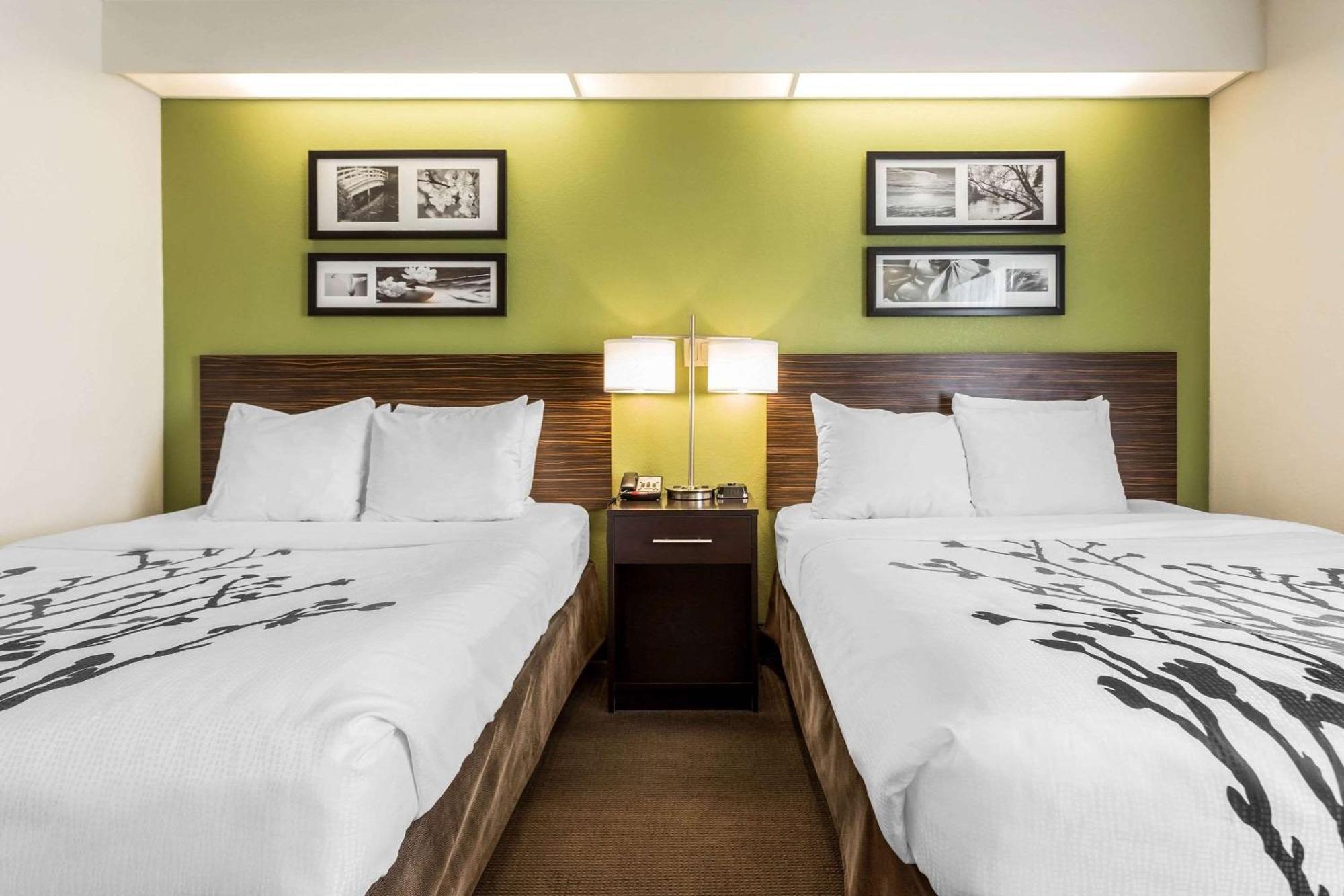 Standard Queen Room,1275926848:JPEG