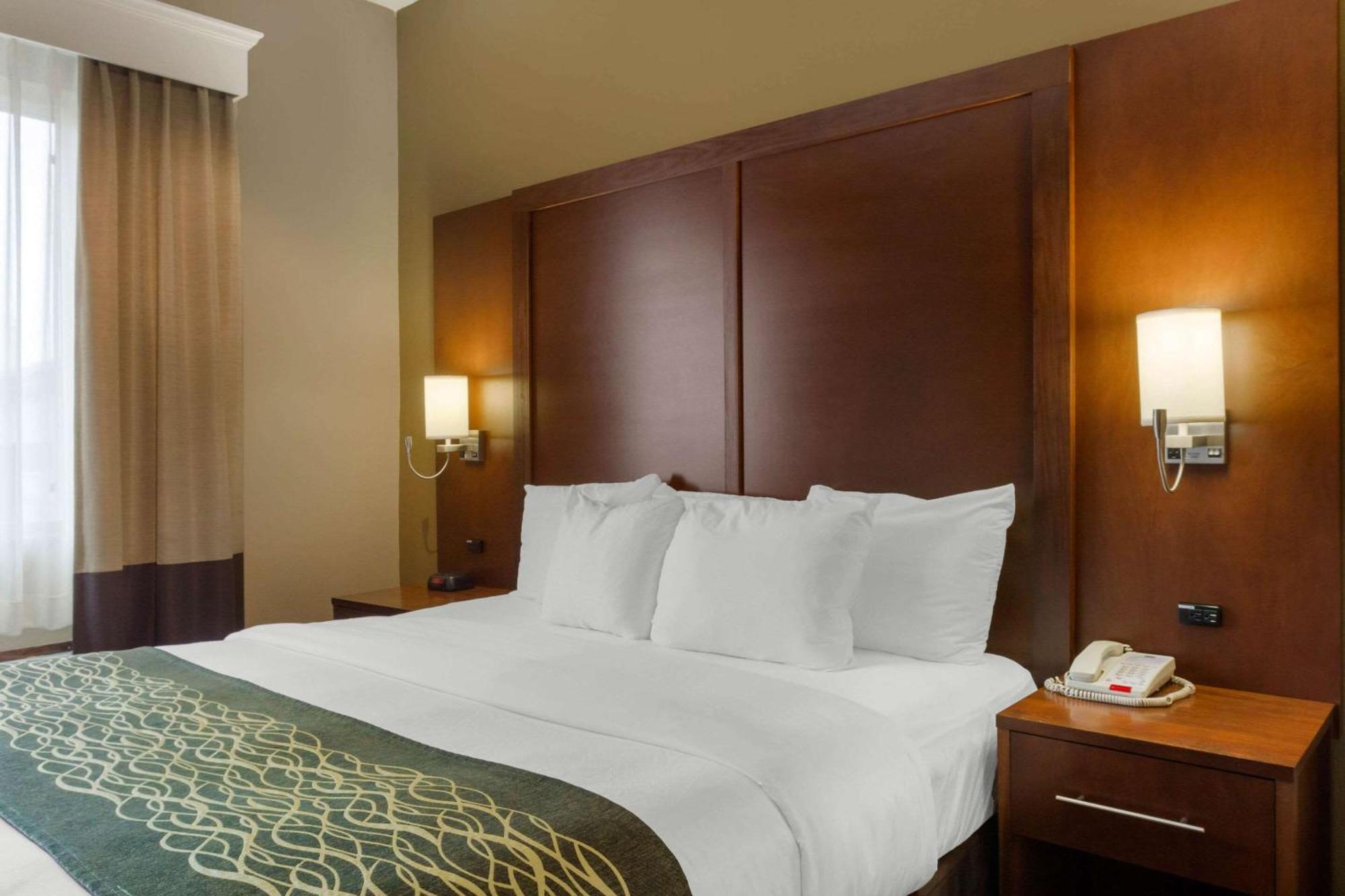 King Suite with Sofa Bed - Non-Smoking,1276048795:JPEG