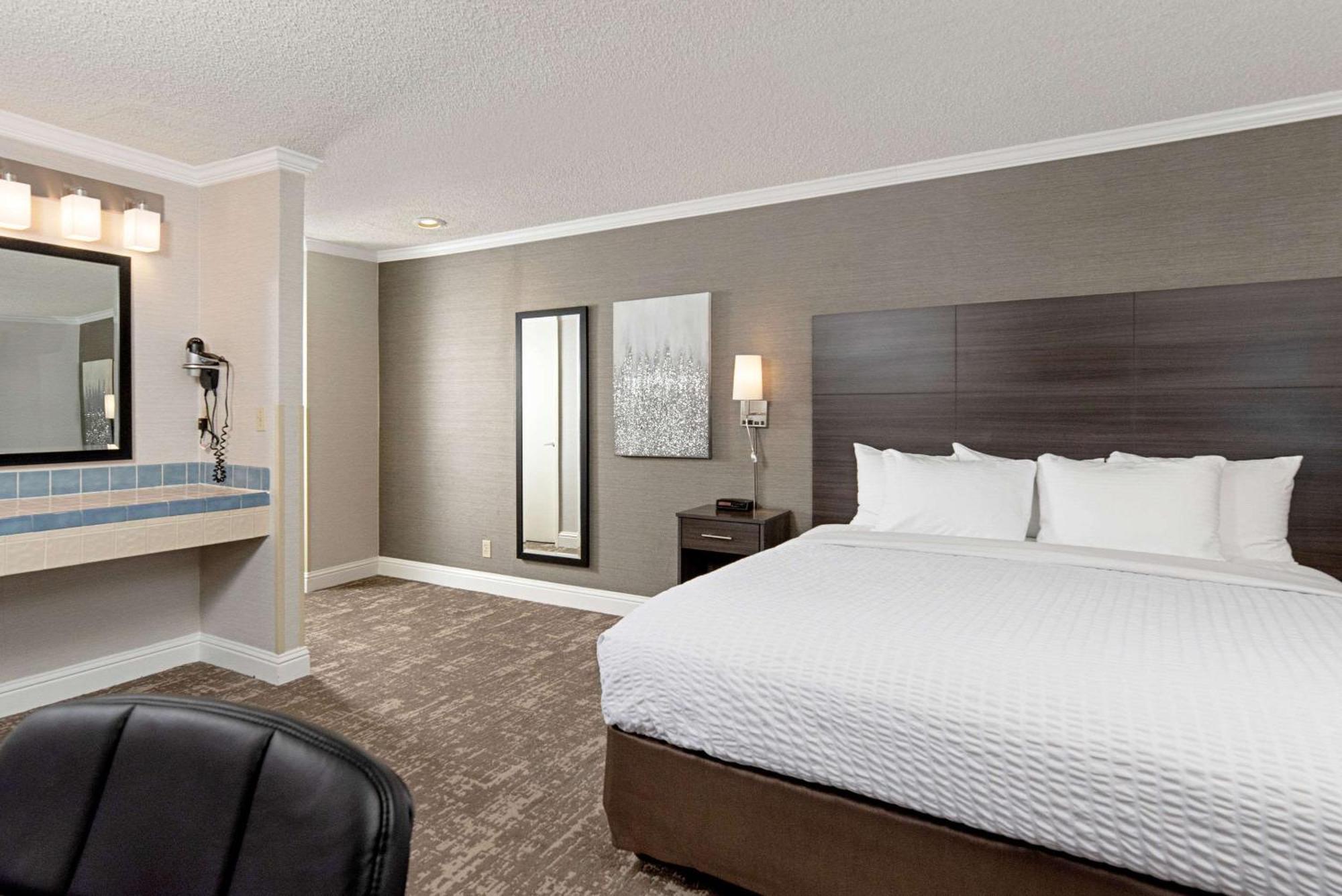 King Room - Non-Smoking