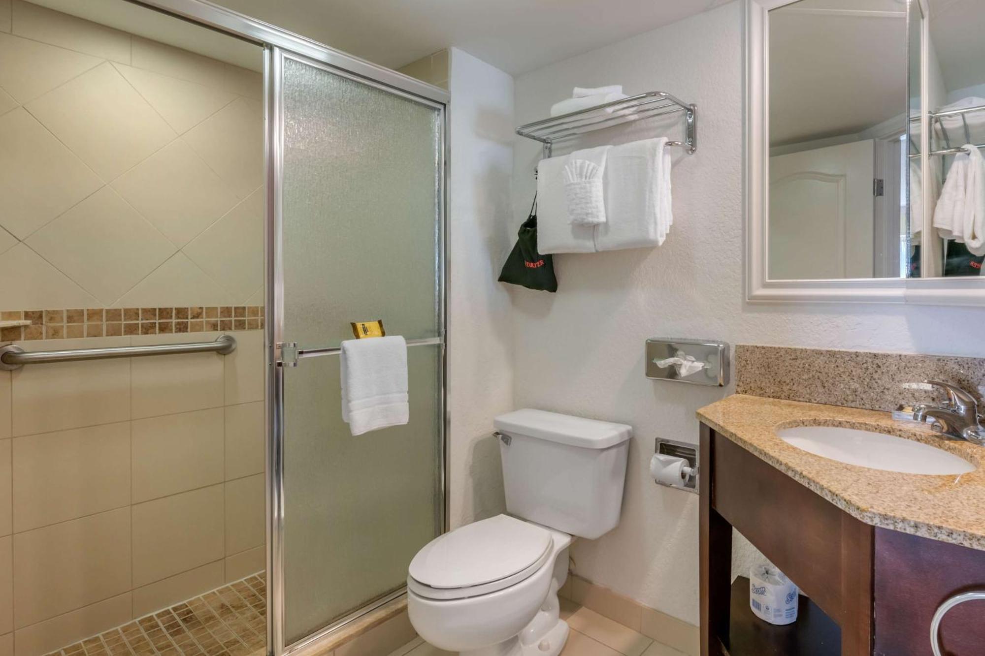 King Room with Walk-In Shower