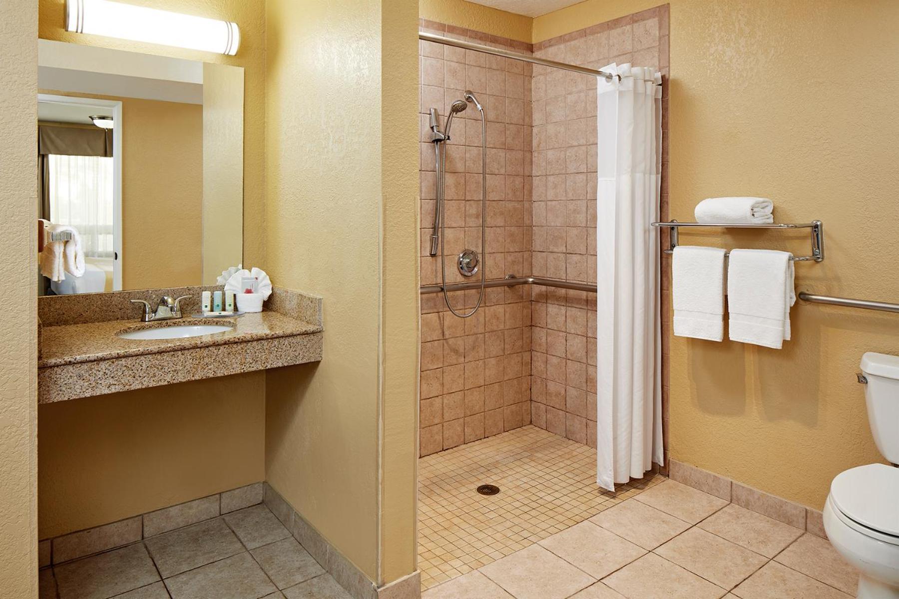 Standard Room, 1 King Bed, Accessible Tub, Non Smoking