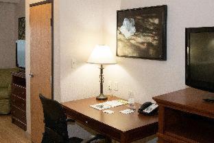 King Suite with Sofa Bed