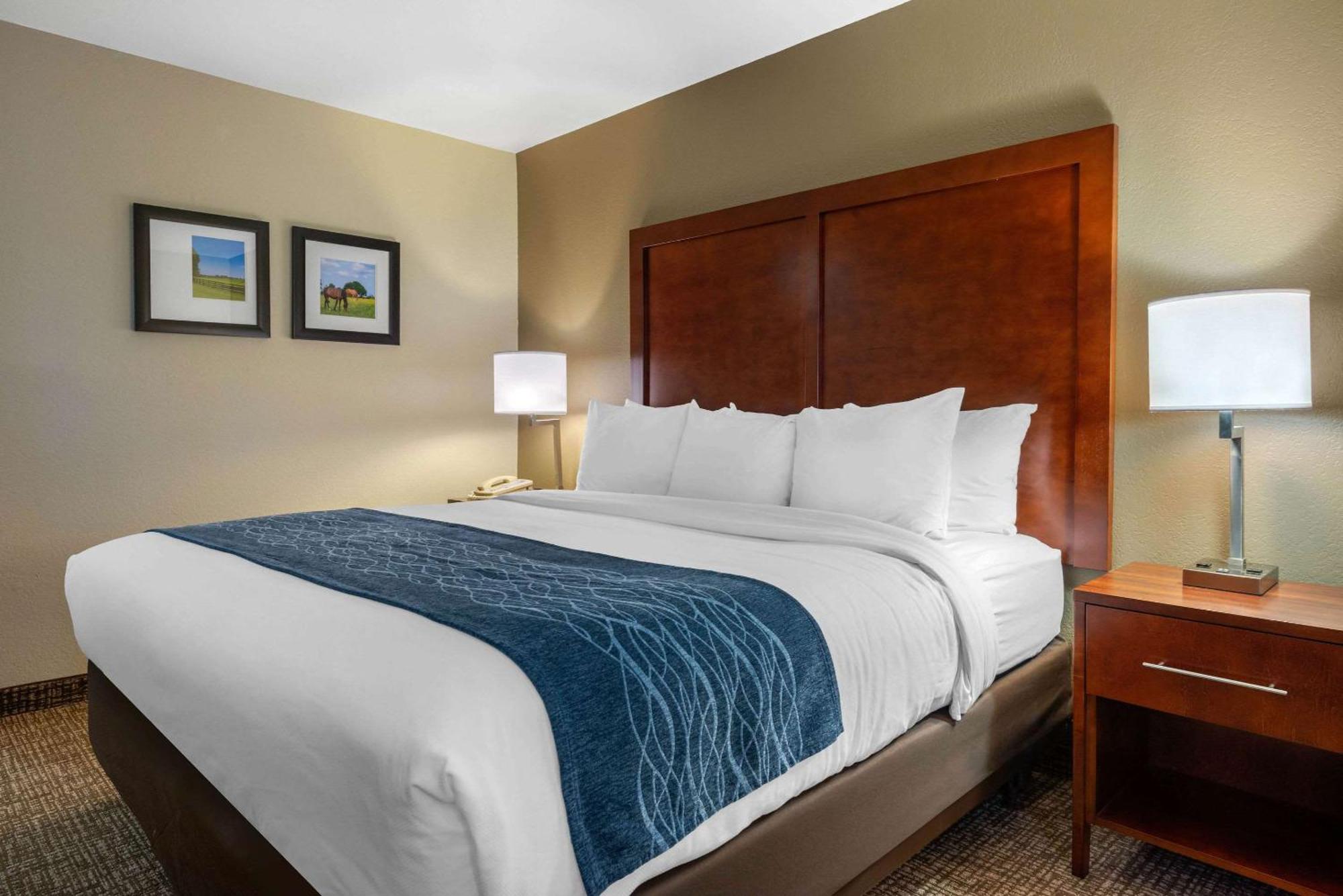 King Room - Disability Access/Non-Smoking
