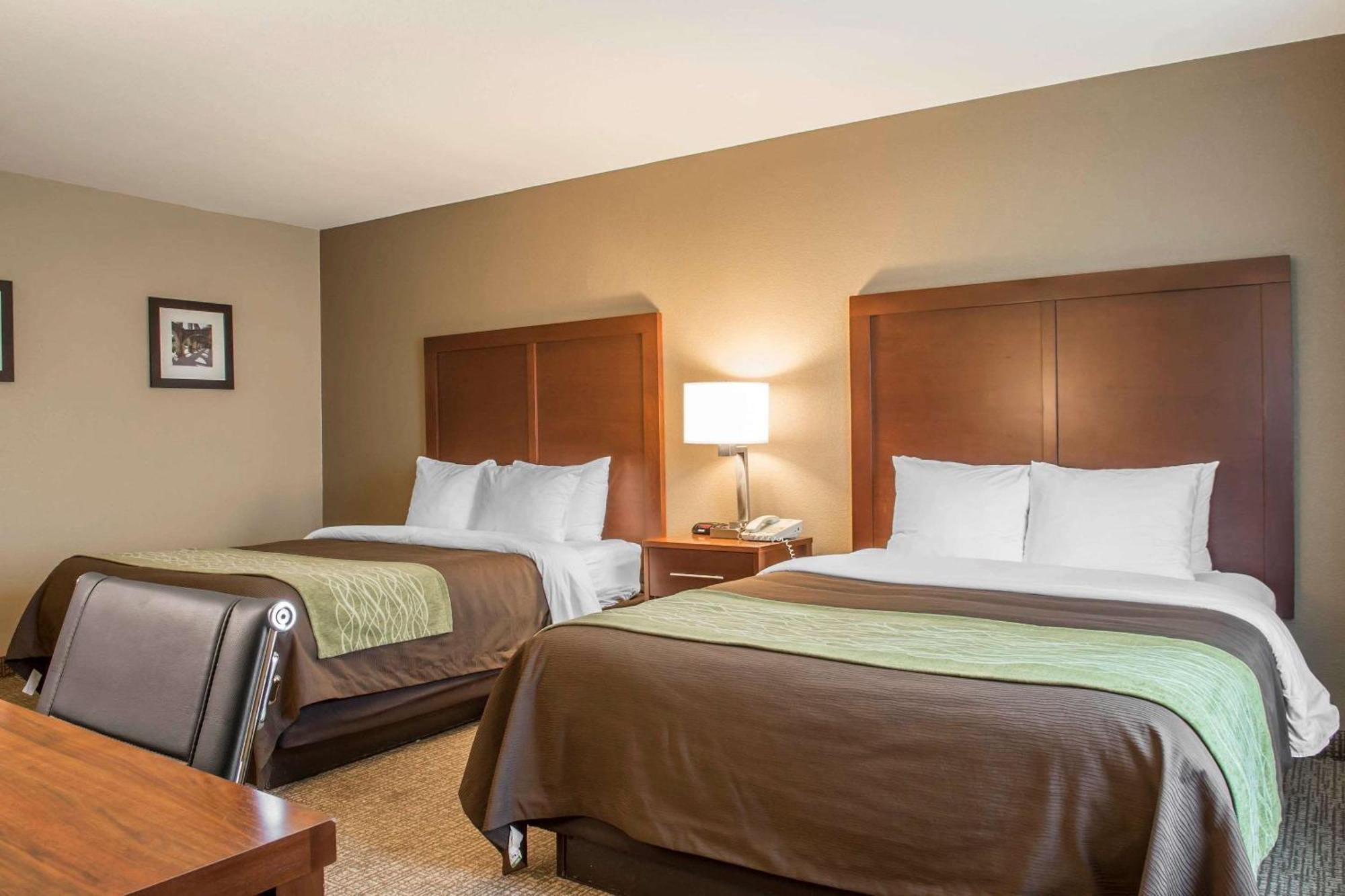 Double Room with Two Double Beds - Non-Smoking,1280665810:JPEG